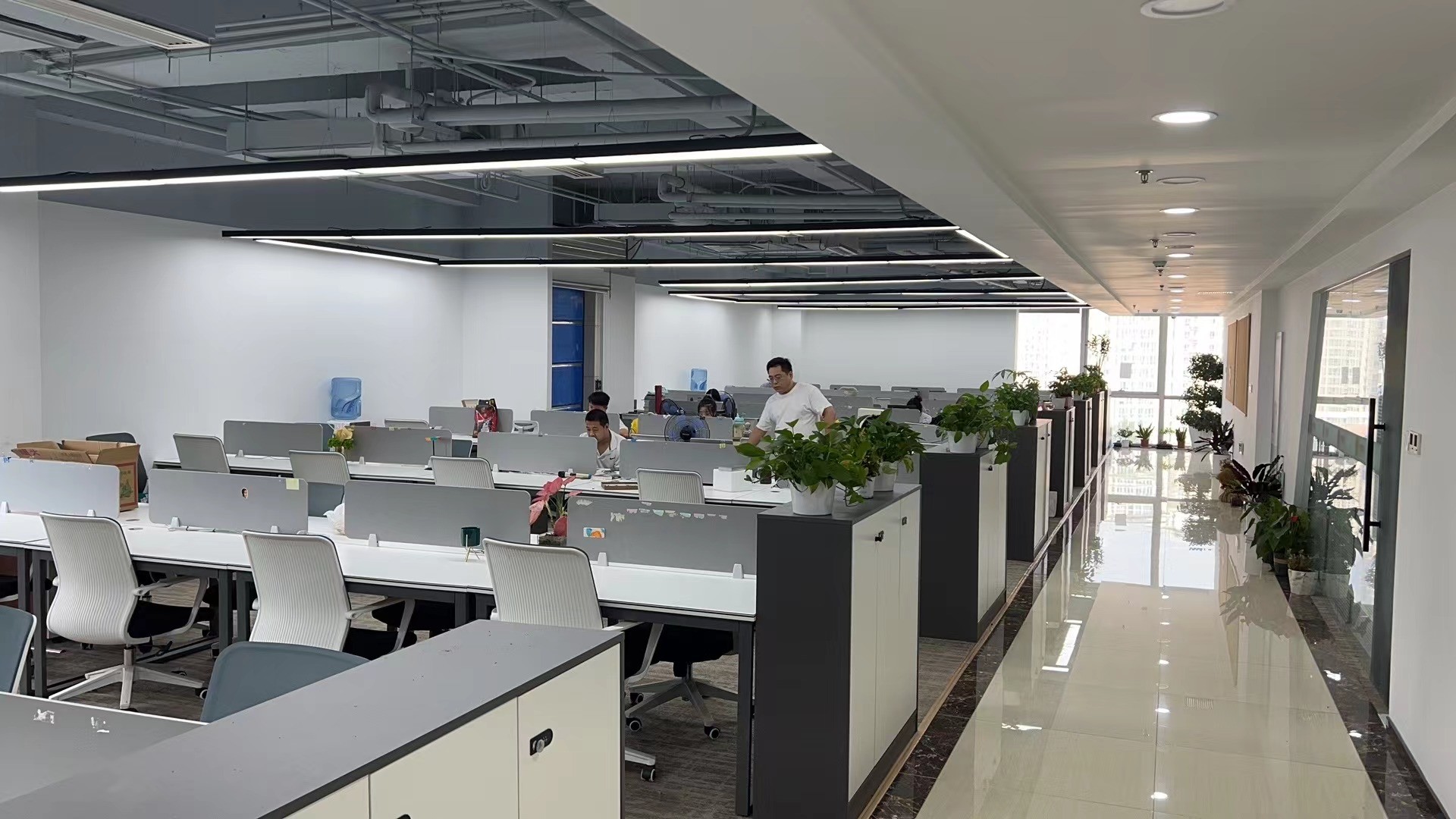 China Pro-Digital Technology Limited Unternehmensprofil